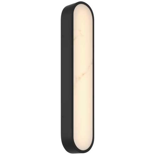 Sydney LED Wall Sconce in Black (18|61113LEDDCS-BL/ALB)
