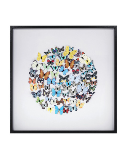 Chroma Wall Art in Multi-Color (142|1200-1172)