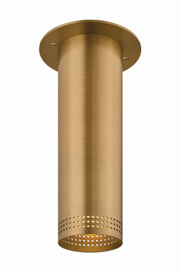 Berg One Light Flush Mount in Patina Brass (67|C1507-PBR)