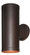 Poseidon Dual Two Light Wallwasher in Bronze (18|20364-BRZ/CLR)