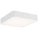 Granada LED Flush Mount in White (18|49982LEDD-WH/ACR)