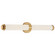 Aqua LED Vanity in Brushed Gold (18|62531LEDD-BG/OPL)
