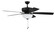 Pro Plus 211 52'' Ceiling Fan in Flat Black (46|P211FB5-52FBGW)