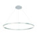 Spunto LED Chandelier in Silver (40|31472-012)