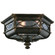 Warwickshire Three Light Outdoor Flush Mount in Black (48|611682ST)