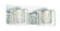 Wild Gems LED Bath in Chrome (42|P1472-077-L)