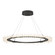 Anemone Anemone Circular LED Pendant in Natural Iron (39|139772-LED-STND-20)