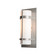 Banded One Light Outdoor Wall Sconce in Coastal Burnished Steel (39|305893-SKT-78-GG0034)