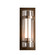 Torch One Light Outdoor Wall Sconce in Coastal Burnished Steel (39|305898-SKT-78-ZS0656)