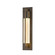 Axis One Light Outdoor Wall Sconce in Coastal Burnished Steel (39|306403-SKT-78-ZM0332)