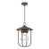 Erlenmeyer One Light Outdoor Pendant in Coastal Bronze (39|356010-SKT-75-ZM0467)