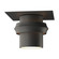 Twilight One Light Outdoor Semi-Flush Mount in Coastal Natural Iron (39|364903-SKT-20)