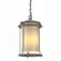 Meridian Meridian Large Outdoor Ceiling Fixture in Coastal Burnished Steel (39|365615-SKT-78-ZS0283)