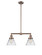 Franklin Restoration Two Light Island Pendant in Antique Copper (405|209-AC-G42)