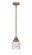 Nouveau 2 One Light Mini Pendant in Antique Copper (405|288-1S-AC-G54)