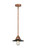 Nouveau 2 LED Mini Pendant in Antique Copper (405|288-1S-AC-M6-BK-LED)