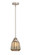Nouveau 2 LED Mini Pendant in Brushed Satin Nickel (405|288-1S-SN-G146-LED)