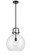 Downtown Urban LED Pendant in Matte Black (405|410-1S-BK-14CL-LED)