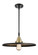 Caden LED Mini Pendant in Black Antique Brass (405|447-1S-BAB-MFR-BK-16-LED)