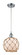 Ballston One Light Mini Pendant in Polished Chrome (405|516-1P-PC-G121-8RB)