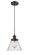 Ballston Urban One Light Mini Pendant in Oil Rubbed Bronze (405|916-1P-OB-G44)