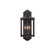 Lakewood Three Light Wall Bracket in Aged Iron (33|404521AI)