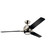 Zeus 60''Ceiling Fan in Polished Nickel (12|300060PN)