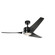 Rana 60''Ceiling Fan in Satin Black (12|310155SBK)