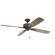 Eads 65''Ceiling Fan in Weathered Zinc (12|310165WZC)