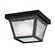 Outdoor Miscellaneous One Light Outdoor Ceiling Mount in Black (12|365BK)