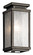 Manningham One Light Outdoor Wall Mount in Olde Bronze (12|49384OZ)
