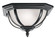 Salisbury Two Light Outdoor Ceiling Mount in Black (12|9848BK)