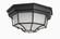 Crown Hill Two Light Outdoor Ceiling Mount in Black (16|1020BK)