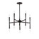 Rome Ten Light Chandelier in Black (16|24625BK)