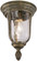 Ardmore One Light Outdoor Lantern in Vintage Rust (7|8999-61A)