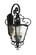 Brixton Ivy Three Light Outdoor Lantern in Coal W/Honey Gold Highlight (7|9333-661)