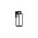 Two If By Sea LED Outdoor Wall Sconce in Black (281|WS-W41925-BK)