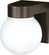One Light Wall Lantern in Bronzotic (72|SF77-141)
