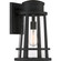Dunham One Light Outdoor Lantern in Earth Black (10|DNM8410EK)