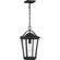 Darius One Light Outdoor Hanging Lantern in Earth Black (10|DRS1911EK)