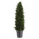 Cypress Cone Planter in Aged Dark Gray (52|60139)