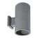 Outdoor Two Light Outdoor Wall Mount in Grey (40|19203-010)