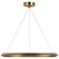 Encircle LED Chandelier in Natural Brass (268|PB 5150NB)