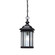 Kirkwood One Light Outdoor Pendant in Black (12|9810BK)
