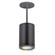 Tube Arch LED Pendant in Black (34|DS-PD05-F-CC-BK)