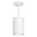 Tube Arch LED Pendant in White (34|DS-PD08-N30-WT)