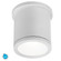 Tube LED Flush Mount in White (34|FM-W2605-WT)