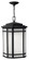 Cherry Creek LED Hanging Lantern in Vintage Black (13|1272VK)