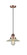 Franklin Restoration One Light Mini Pendant in Antique Copper (405|201CSW-AC-G2)