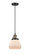 Franklin Restoration One Light Mini Pendant in Black Antique Brass (405|201CSW-BAB-G171)